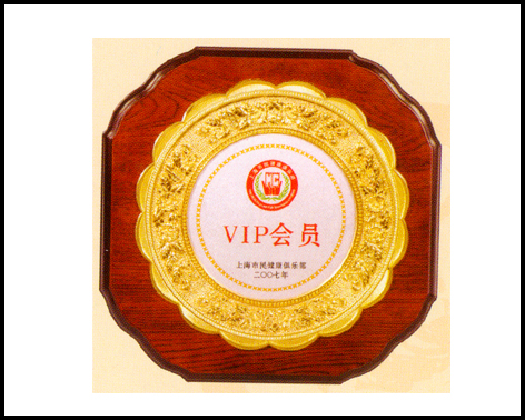 盤式獎牌