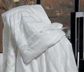 清逸臻品蠶絲被