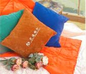 多功能絲絨靠墊被