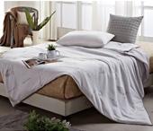 蘆薈養(yǎng)生蠶絲被