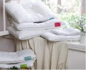 第二代決明子木棉枕3號(hào) （一對(duì)）