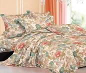 水星時(shí)尚套件